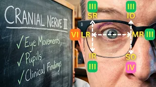 Cranial Nerve III: Oculomotor nerve and Clinical correlations
