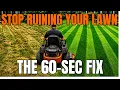7 Lawn Mower Hacks Professionals Use Every Day And Never Tell Homeowners