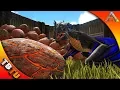 FIRE WYVERN BREEDING AND MUTATIONS ARK WYVERN COLOR MUTATIONS Ark Survival Evolved