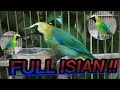 Download Lagu Suara Burung Cucak Ranting/ Cucak Rante gacor Full isian / Masteran Cucak Ranting / cucak Rante Download Lagu Suara Burung Cucak Ranting/ Cucak Rante gacor Full isian / Masteran Cucak Ranting / cucak Rante