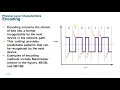 module 4 Physical Layer ccna v7
