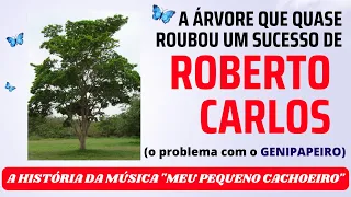 A ÁRVORE QUE QUASE ROUBOU UM SUCESSO DE ROBERTO CARLOS