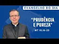 Download Lagu EVANGELHO DO DIA: 11/07 (6ª FEIRA): PRUDÊNCIA E PUREZA Mt 10,16-23