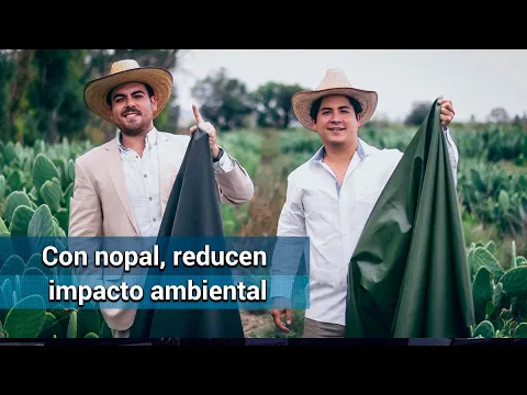 Download MP3 Mexicanos triunfan en el mundo con piel de nopal