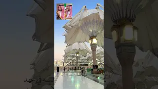 خدام بيت الله ومسجد نبيه الملك سلمان محمد بن سلمان ولي العهد السعوديه رؤية السعودية  خدام بيت الله ومسجد نبيه الملك سلمان محمد بن سلمان ولي العهد السعوديه رؤية السعودية