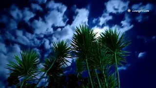 المنشاوي من كان يريد العزة فلله العزة جميعا إليه يصعد الكلم الطيب والعمل الصالح يرفعه 