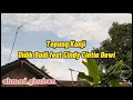 Download Lagu Lirik Lagu Tepung Kanji Cover Didik Budi Cindy Cintia Dewi