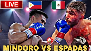weljon mindoro vs elias espadas fight 