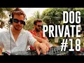 Download Lagu Dubdogz - DOGPRIVATE #18 (Tawa, Buzios - RJ) Insomniac Residency