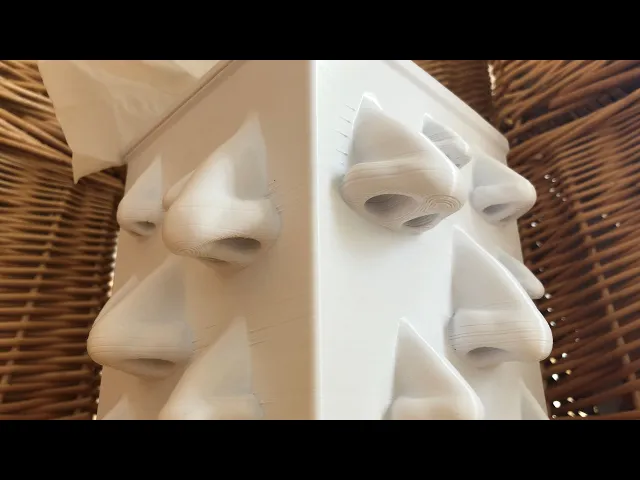 Nose Box video thumbnail