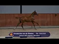 Download Lagu Vivatrichta van de Westen (McLaren x Apache x Rousseau)