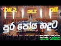 Lagu Pura Poya Hadata | පුර පෝය හදට | EDM Version | Female Cover | DILZ