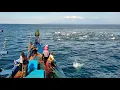 Download Lagu PUKAT CINCIN, Ternyata Begini Cara Nelayan Indonesia Menangkap Ikan tongkol di Laut km.yordan