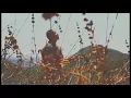 Mìchonne Maylené - Nick Nery