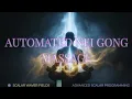 Automated Nei Gong Massage Amplified Energetic In-Formation