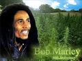 Bob Marley - Kaya