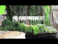 Evolution Body Piercing