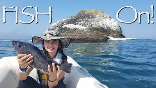 Fish, Fog, Tacos & Tsunamis – Onboard Lifestyle ep.123