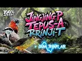Download Lagu MASTERAN BURUNG WAJIB 2025!! Nembak Nyrecet Ngekek + Jeda Terapi Air
