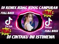 Download Lagu DJ SAYANG CINTAKU INI ISTIMEWA JEDAG JEDUG VIRAL TIKTOK FULL ALBUM