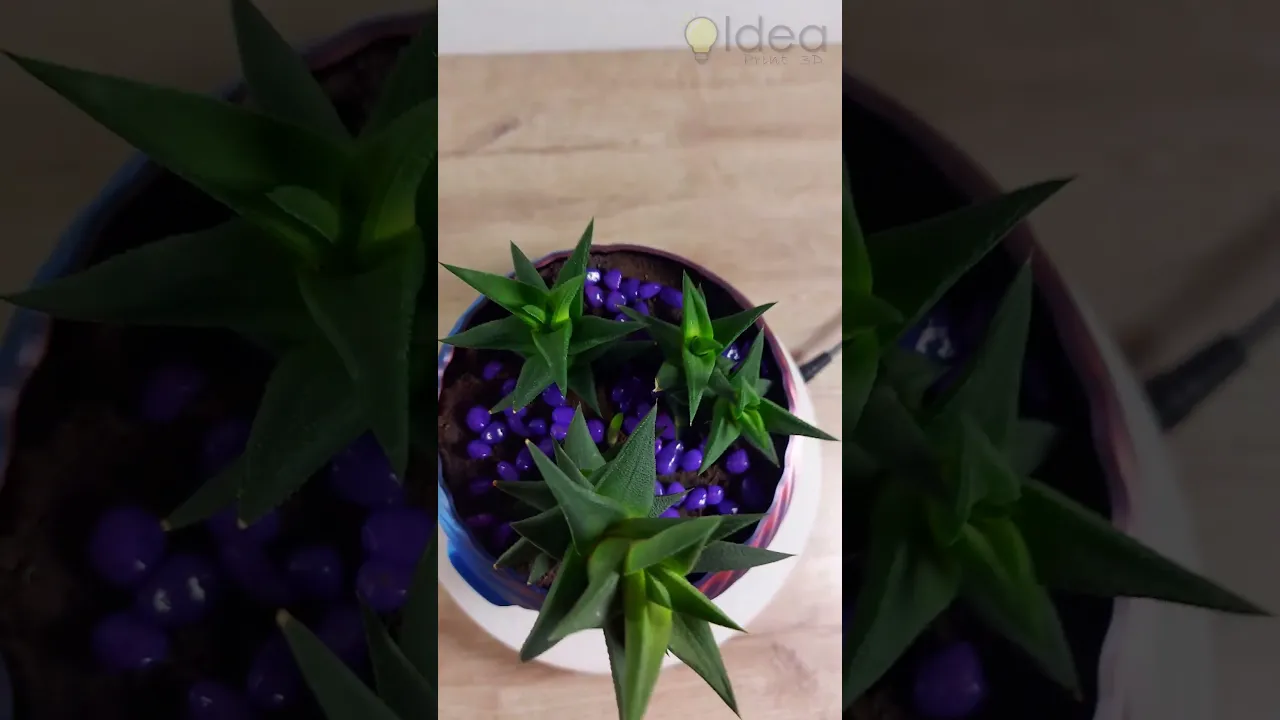 Abstract Pot video thumbnail