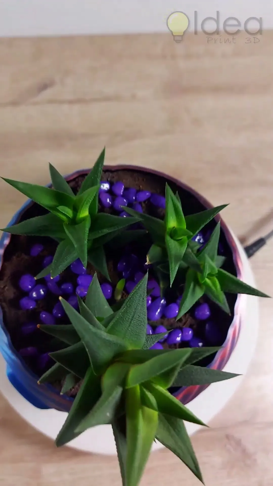 Abstract Pot