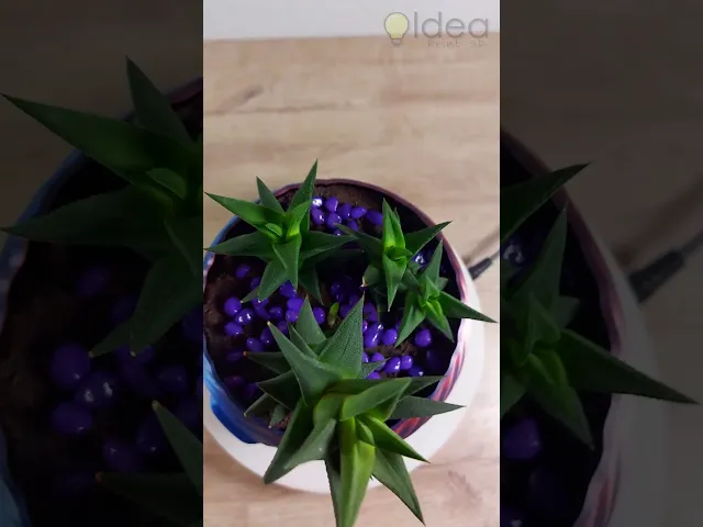 Abstract Pot video thumbnail