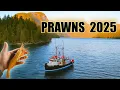 FISHING SPOT PRAWNS 2025