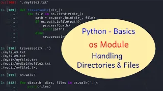 Python Basics - 54
