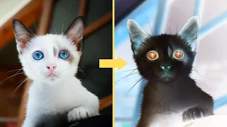 Turn Photos into Negative for Free with LunaPic
