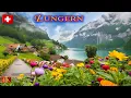 Download Lagu Lungern – Berjalan Melalui Desa Seperti Surga di Bumi (Musim Semi 2024)