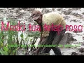 Download Lagu Pak Tani mencangkul di tanah sawah MP3