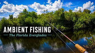 Fishing the Florida Everglades ASMR Real-Time No Talking 100 Casting with a Chance of Fish