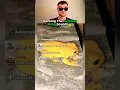 Download Lagu 5 Suara Katak Teratas yang Membuat Kami Tertawa!