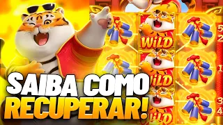 PESSOAS QUE PERDERAM TUDO NO JOGO DO TIGRINHO PERDI TUDO NO JOGO DO TIGRINHO PERDEU TUDO