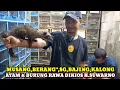 Lagu SIDAK HARGA HEWAN,AYAM,BURUNG RAWA DIKIOS HAJI SUWARNO PASAR BURUNG PRAMUKA TERBARU HARI INI