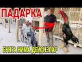 Download Lagu ОХУНОВ ТВДАН ПАДАРКА / УДАР ЗОТ НАМАНГАНГА БЕРИЛДИ(ХУРОЗ ИШКИБОЗЛАРИ)