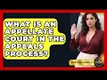 What Is An Appellate Court In The Appeals Process - Courtroom Chronicles