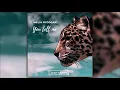 Download Lagu Melih Aydogan - You Tell Me