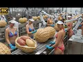 Lagu Inside The World's Largest Peanut Milk Factory: The Incredible Production Process (Full Process)