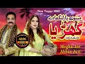 Lagu 🎵 Menu Paar Langha De Way – Official Music Video | Megha Jee \u0026 Abbas Jutt | 2025