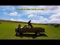 GreenWoodz - Crash // Visualizer officiel