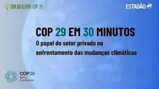 COP 29 em 30 minutos: O papel do setor privado no enfrentamento das mudanças climáticas