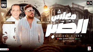 معليش الصبر الترند إللي مكسر مصر حاليا النجم محمد سلطان والقشاش محمد اوشا اغنيه جامده اووي ٢٠٢٤  معليش الصبر الترند إللي مكسر مصر حاليا النجم محمد سلطان والقشاش محمد اوشا اغنيه جامده اووي ٢٠٢٤