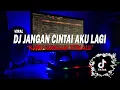 Download Lagu DJ JANGAN CINTAI AKU LAGI REMIX TIKTOK VIRAL FULL BASS - DJ KAMU SUNGGU TERLALU