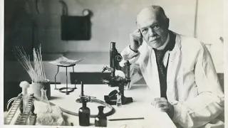 Charles Nicolle Wikipedia article