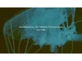 Download Lagu Beyond the memory / TA-TI RESIN  DJ TAIJI Prod.by iadonik (B.S.C CREW)