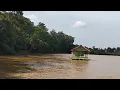 Download Lagu 2 Hari di rumah rakit bersama @almon24 , di guyur hujan deras .