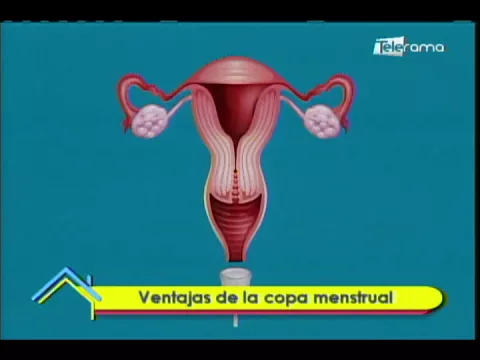 Ventajas de la copa menstrual