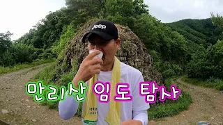 다래가 지천인 만리산 임도 탐사 여행// 노지 차박캠핑!! 썸네일